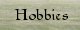 Hobbies